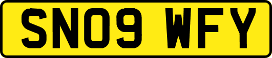 SN09WFY
