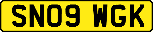 SN09WGK