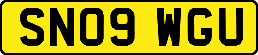 SN09WGU