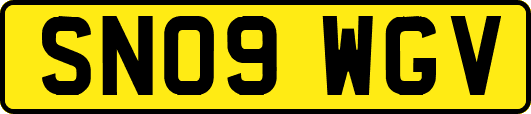 SN09WGV