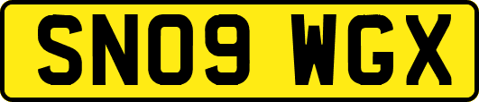 SN09WGX
