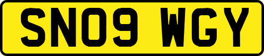 SN09WGY