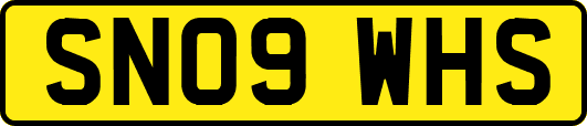 SN09WHS