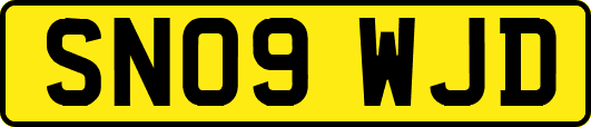 SN09WJD
