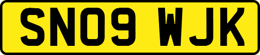 SN09WJK
