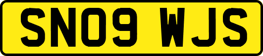 SN09WJS