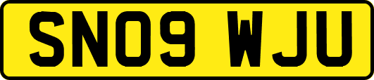 SN09WJU