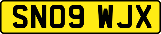 SN09WJX