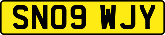SN09WJY