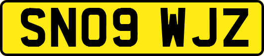 SN09WJZ