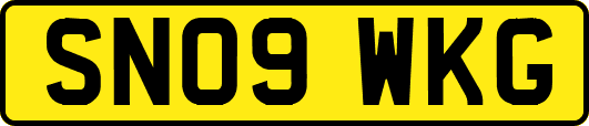 SN09WKG