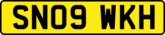 SN09WKH