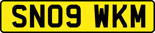 SN09WKM