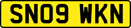 SN09WKN