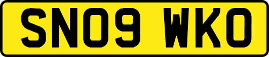 SN09WKO