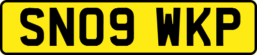 SN09WKP