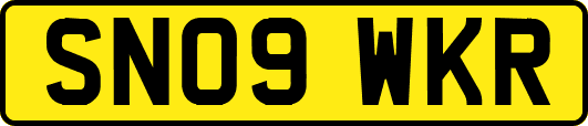 SN09WKR