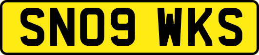SN09WKS
