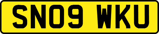 SN09WKU