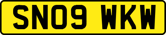 SN09WKW