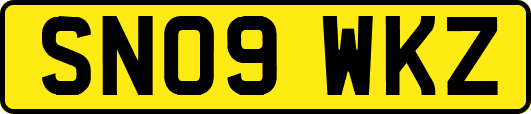 SN09WKZ