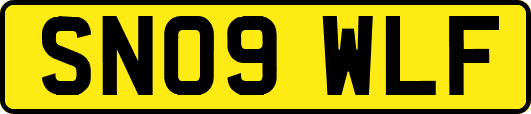 SN09WLF