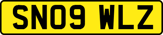 SN09WLZ