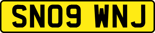 SN09WNJ