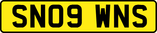 SN09WNS