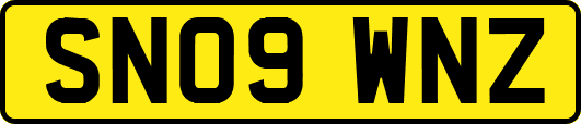 SN09WNZ