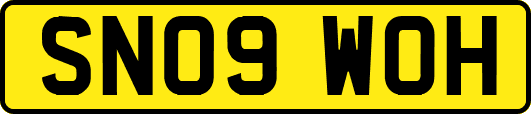 SN09WOH