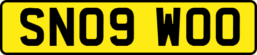 SN09WOO
