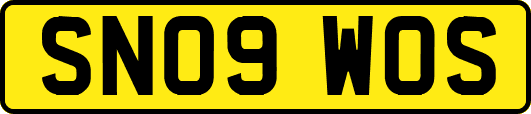SN09WOS