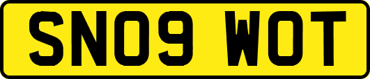 SN09WOT