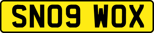 SN09WOX