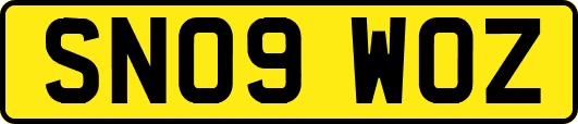 SN09WOZ