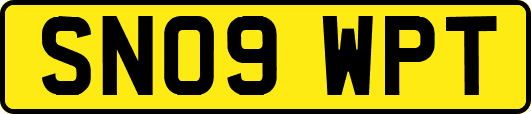 SN09WPT