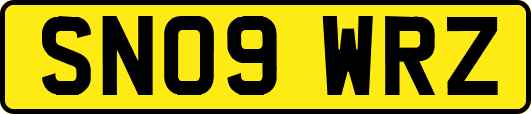 SN09WRZ