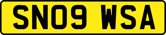SN09WSA