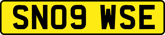 SN09WSE