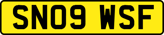 SN09WSF