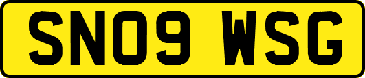 SN09WSG