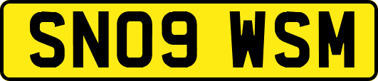SN09WSM