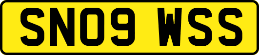 SN09WSS