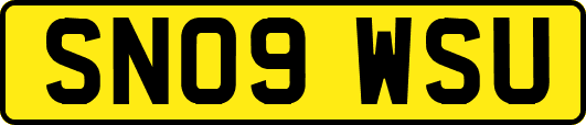 SN09WSU