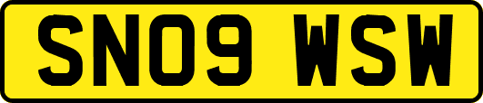SN09WSW