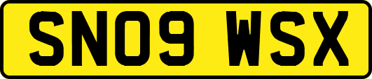 SN09WSX