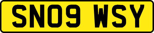 SN09WSY