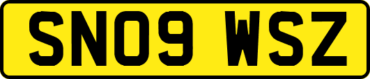 SN09WSZ