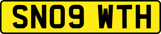 SN09WTH